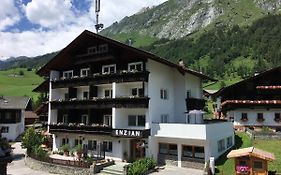 Ferienhaus Enzian